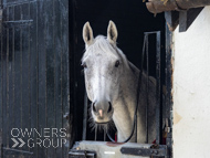 NH051025-96 - The Carpenter